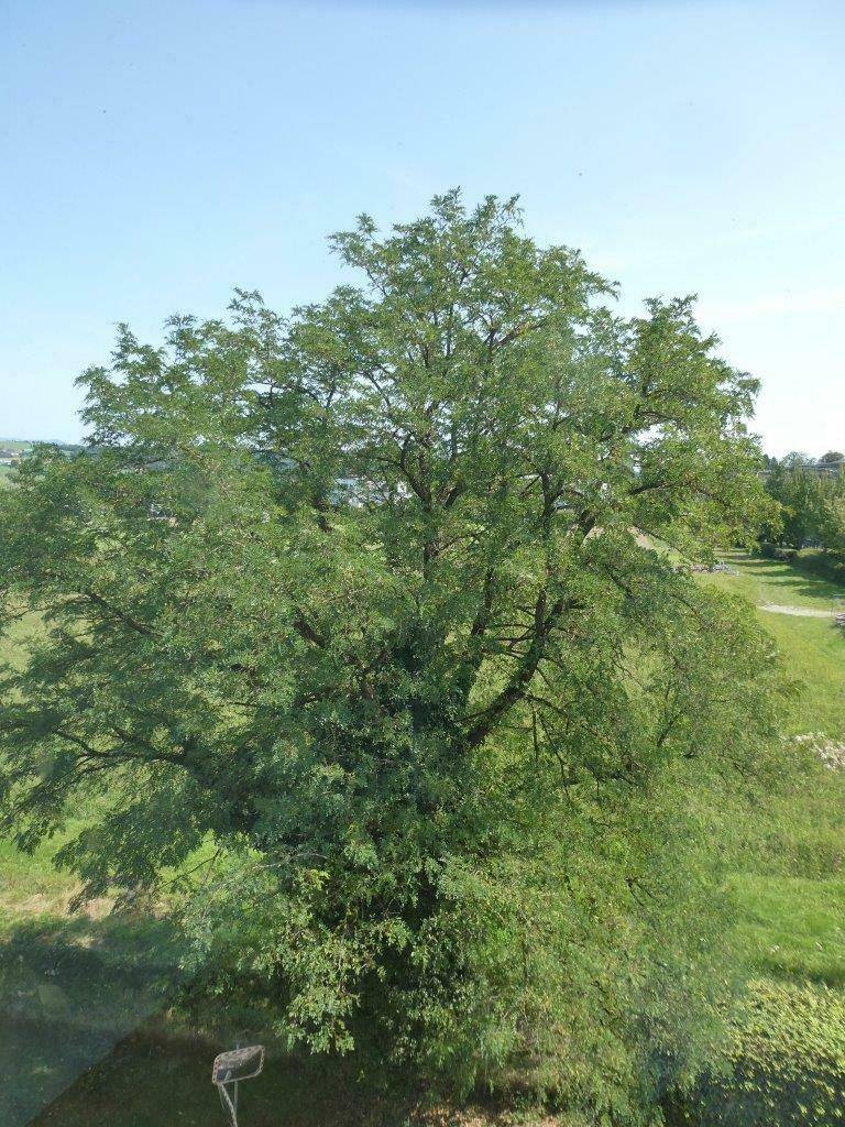 Ausblick Zimmer1