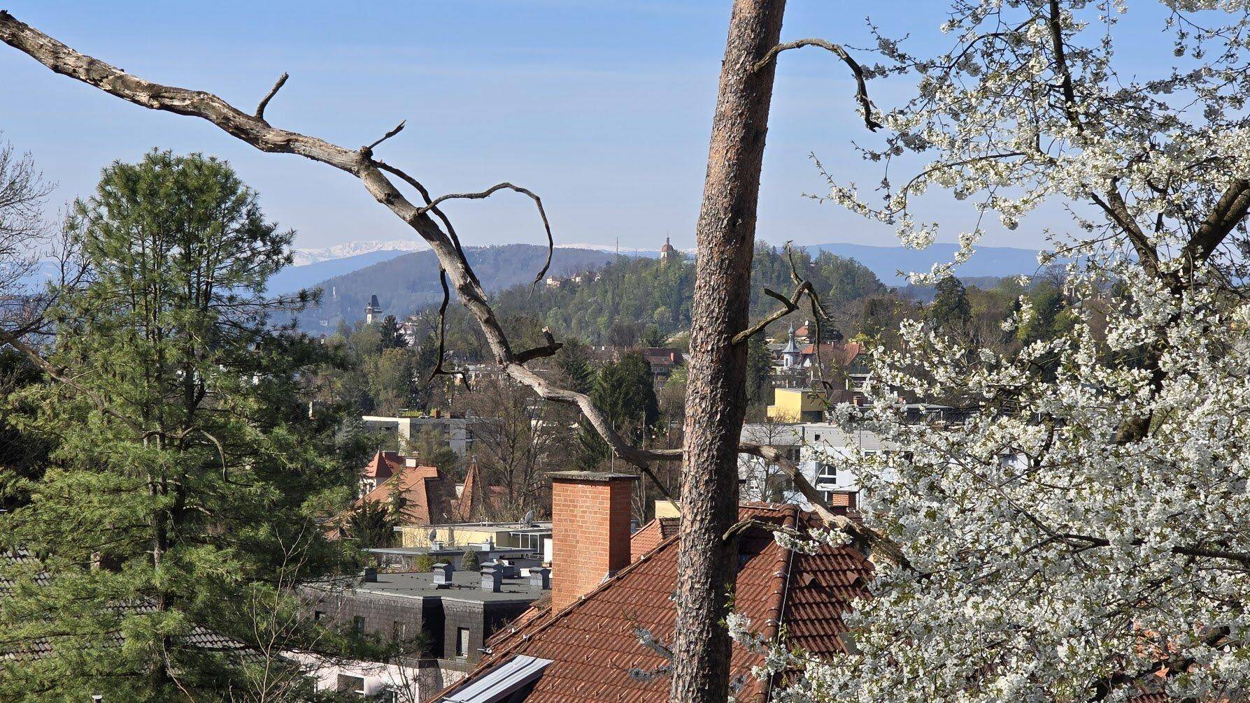 Malerischer Ausblick über die Dächer der Stadt und bewaldete Hügel im Hintergrund.