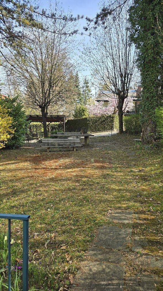 Gemeinschaftlicher Gartenbereich mit Rasenflächen, Bäumen und Sitzgelegenheiten im Freien.