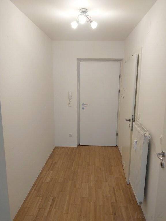 Heller Eingangsbereich mit Laminatboden und weiß gestrichenen Wänden.