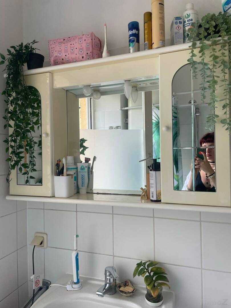 Badezimmer mit Waschbecken, Spiegelschrank und Pflanzen.