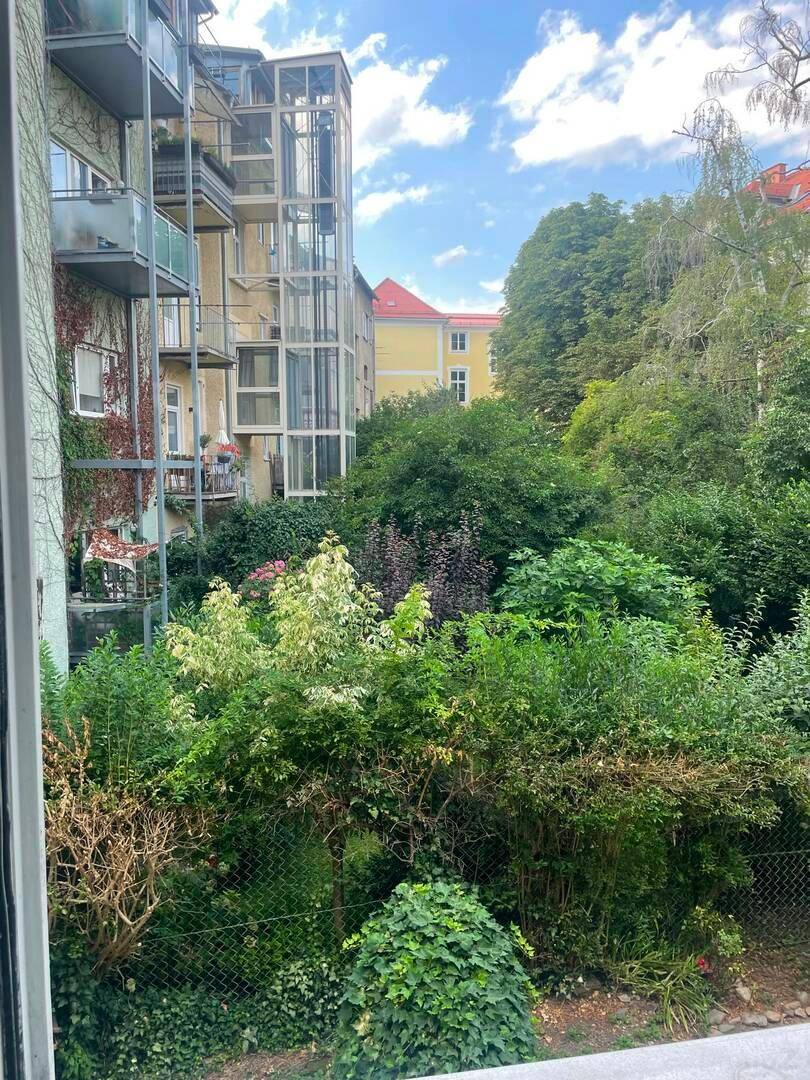 Blick aus dem Fenster auf einen grünen Innenhof mit Bäumen und Sträuchern.