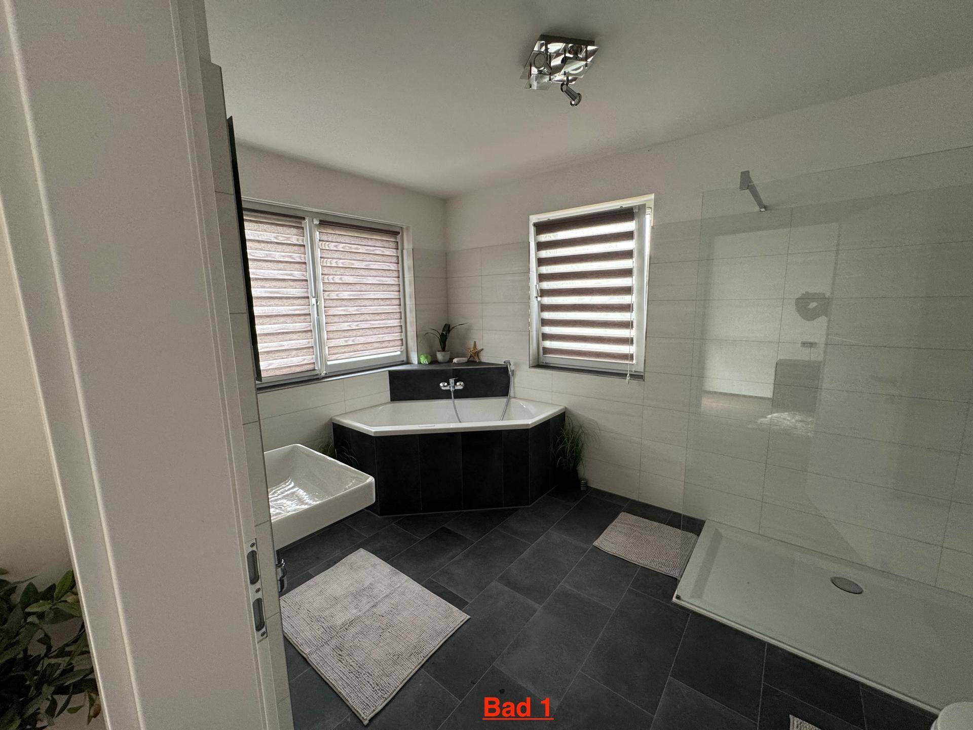 Modernes Badezimmer mit dunklen Fliesen, Badewanne und separater Duschkabine mit Glaswand.