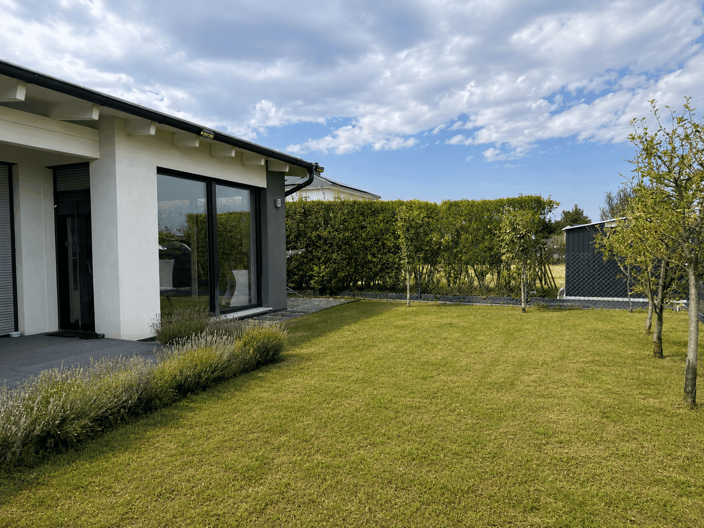 Seitlicher Gartenbereich mit großen Fenstern, Rasenfläche und einer hohen Hecke als Sichtschutz.