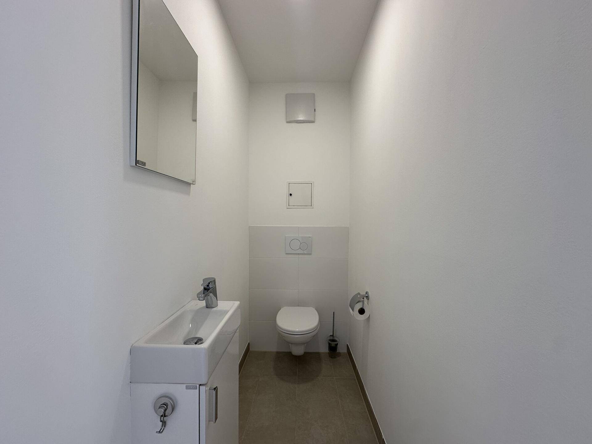 Kleines Gäste-WC mit modernem Waschbecken und Wand-WC.