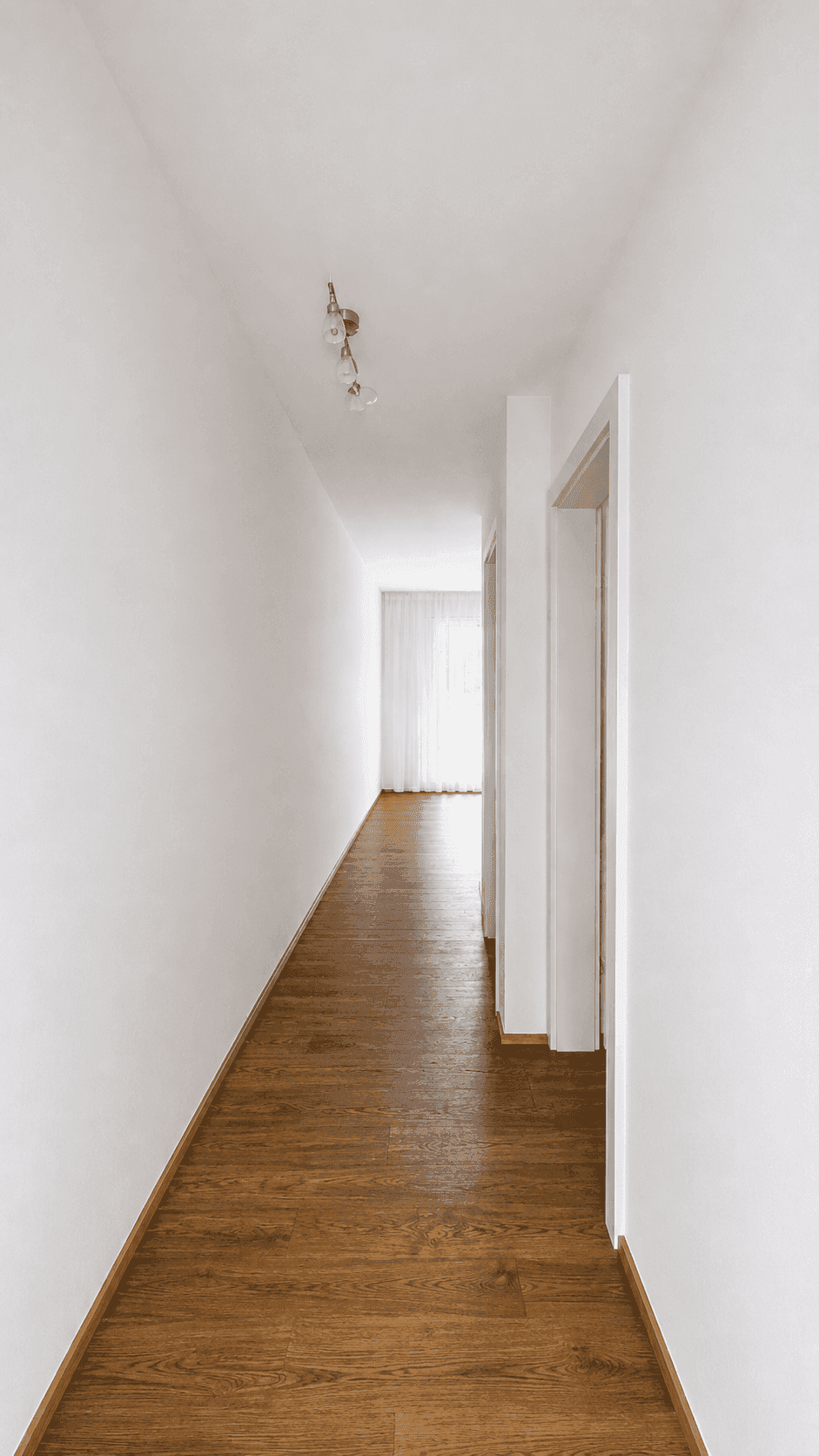 Heller Flur mit Holzboden und Zugang zu mehreren Zimmern, der viel natürliches Licht erhält.