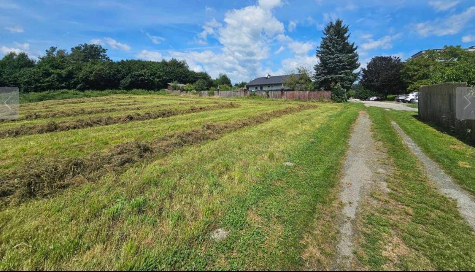 Ein gemähtes Feld mit einem Feldweg, umgeben von Bäumen und einem Haus im Hintergrund.