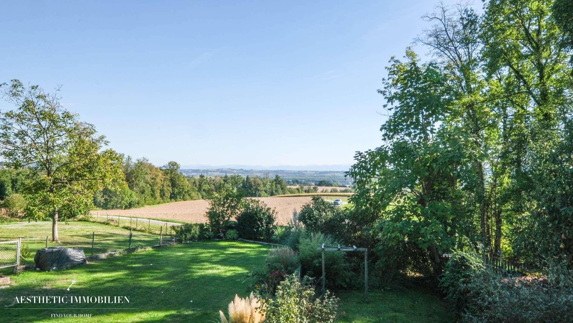 Ausblick Terrasse EG