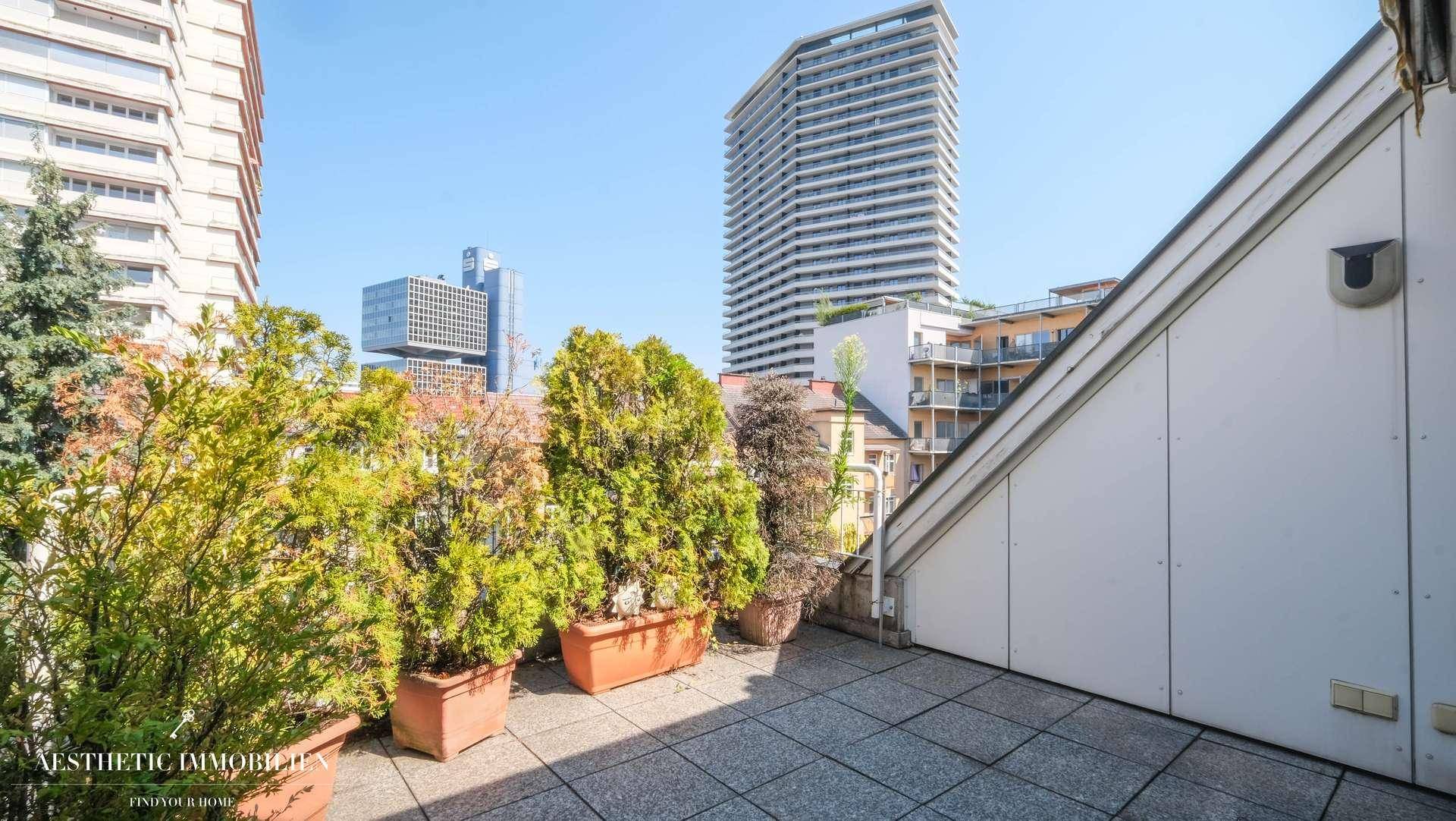 Dachterrasse mit Pflanzen und Blick auf die umliegende Stadtbebauung.