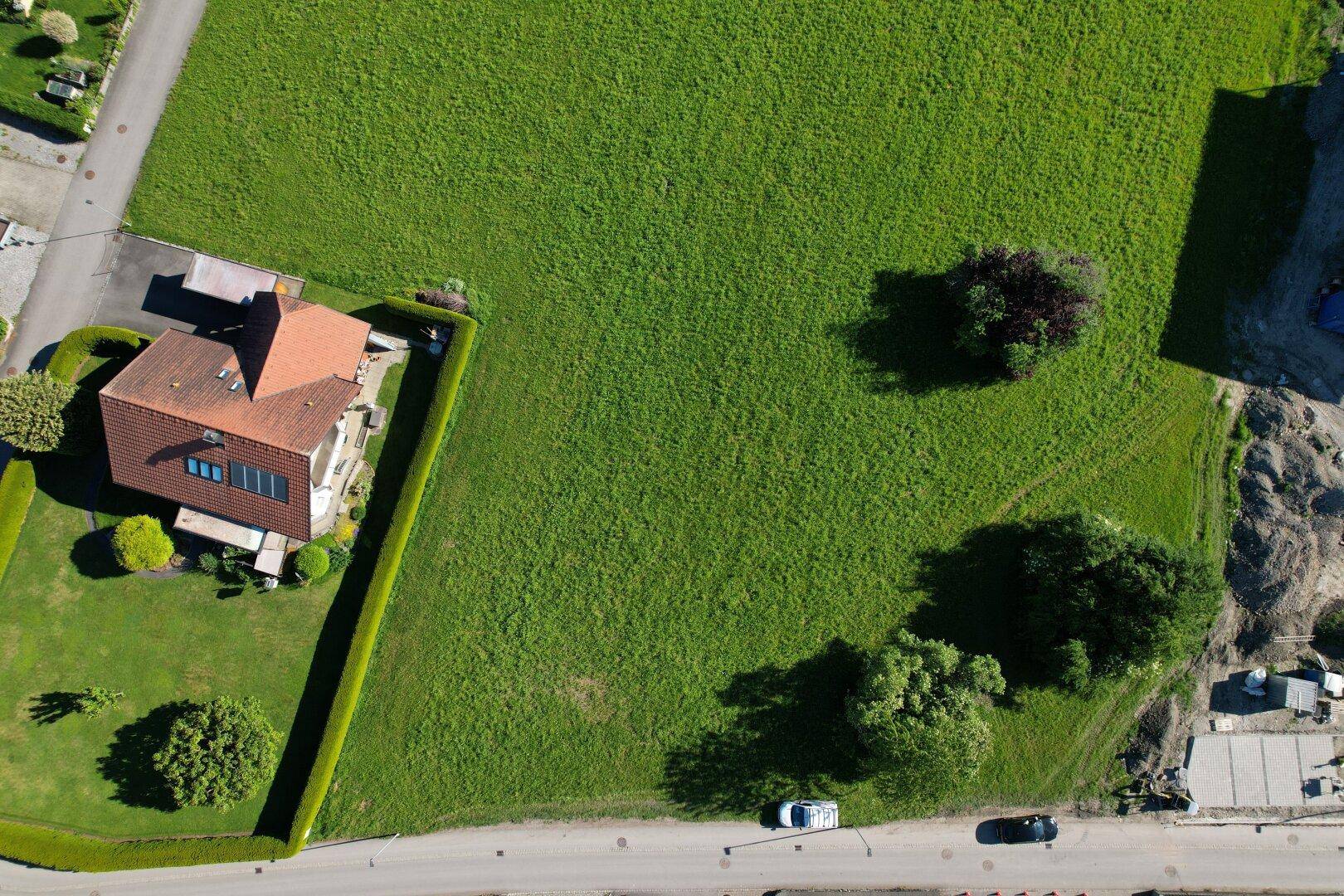 Senkrechte Luftaufnahme eines weitläufigen grünen Feldes mit einem angrenzenden Wohnhaus und Straße.
