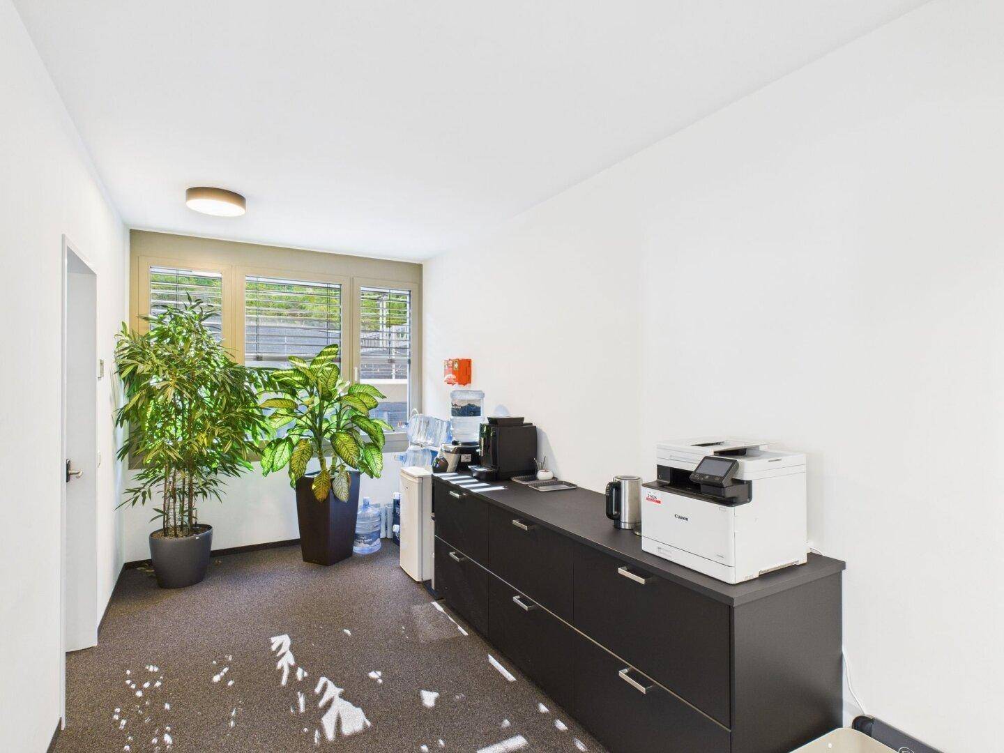 Bürobereich mit Kaffeestation, Drucker und großen Grünpflanzen neben einem Fenster.