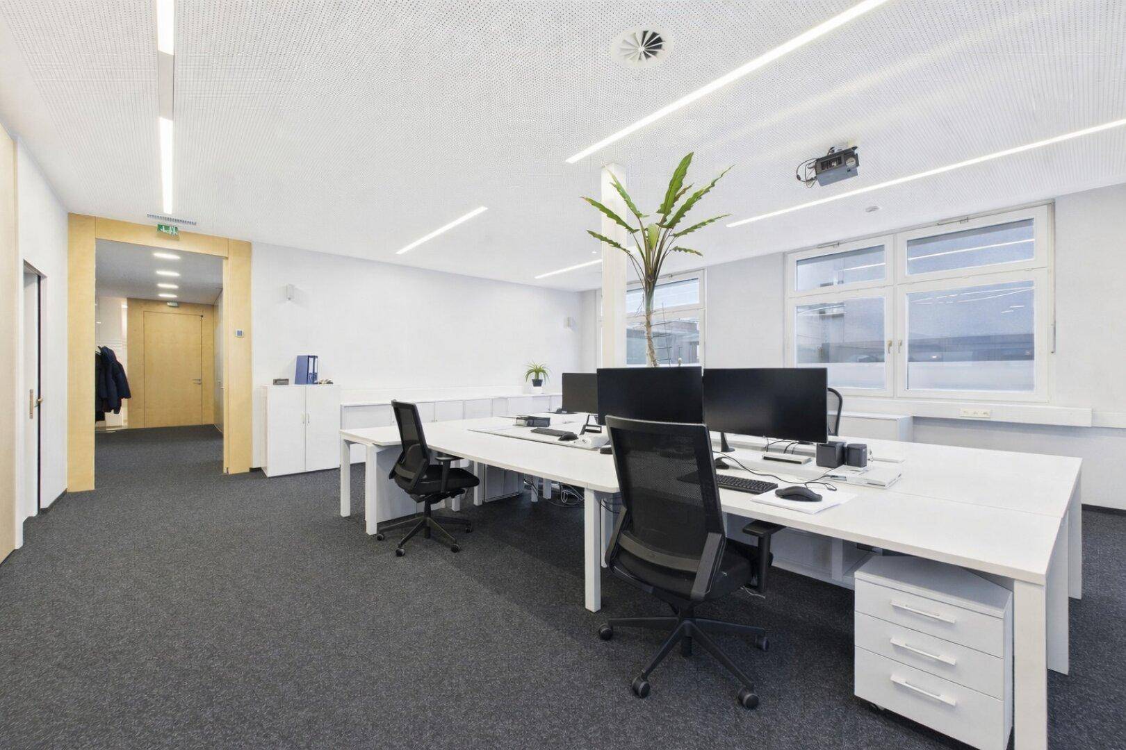 Großzügiges Büro mit mehreren Arbeitsplätzen, großen Fenstern und Zugang zu einem Flur.