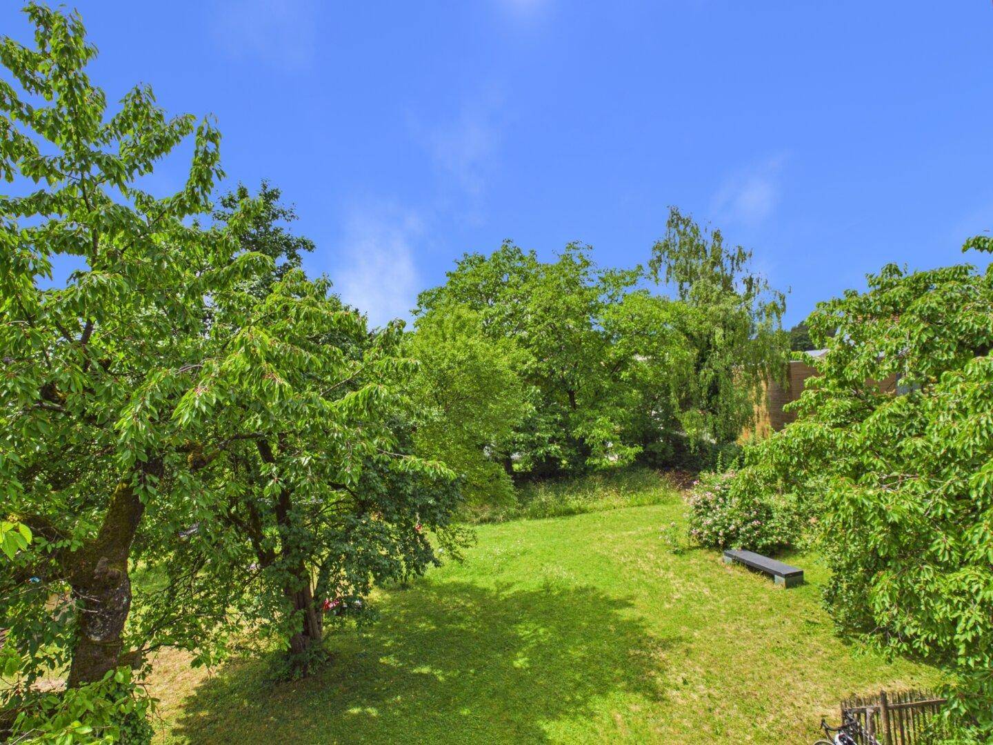 Grüner Gartenbereich mit Bäumen und einer Bank unter blauem Himmel, ideal zum Entspannen.