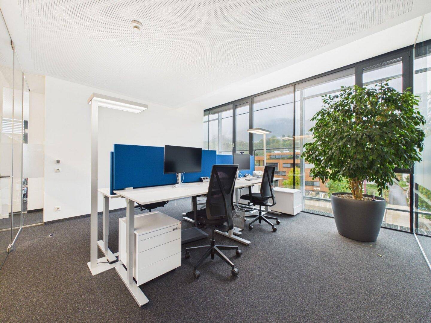 Geräumiges Büro mit mehreren Arbeitsplätzen, großen Pflanzen und Panoramablick.