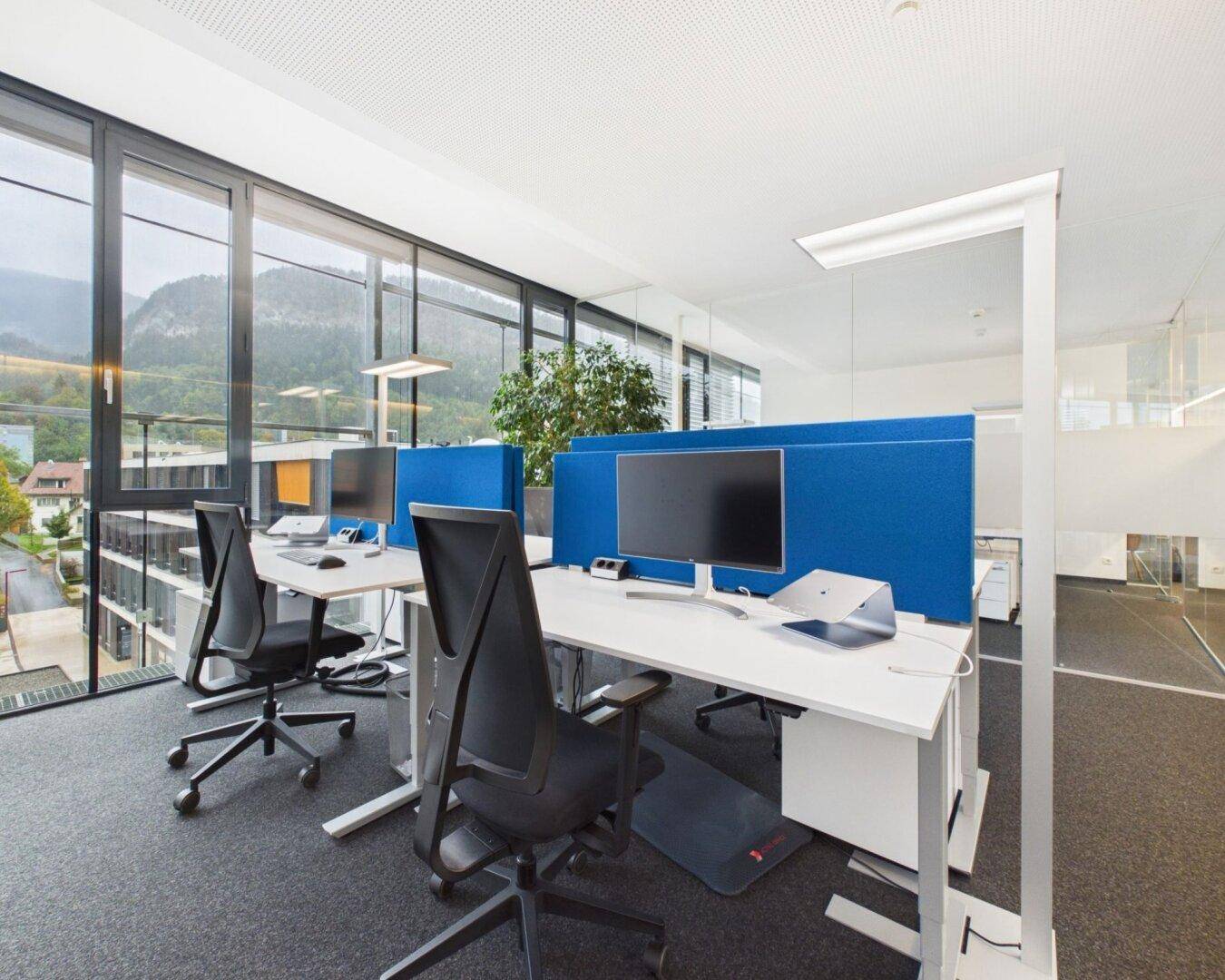 Offener Bürobereich mit blauen Trennwänden, modernen Schreibtischen und viel Tageslicht.