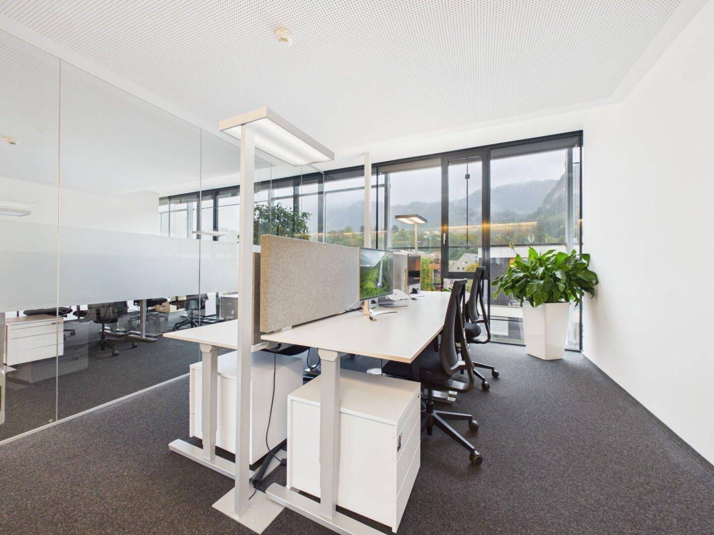 Moderner Büroraum mit ergonomischen Arbeitsplätzen, Pflanzen und Blick ins Grüne.