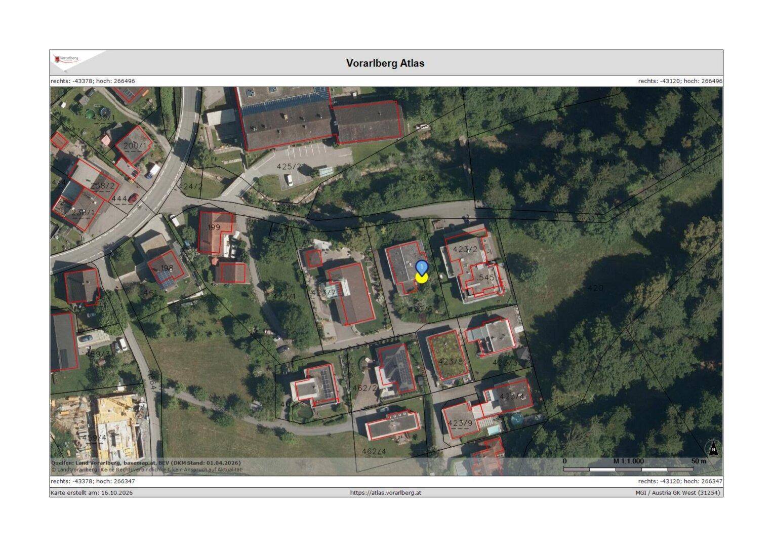 Slide 6