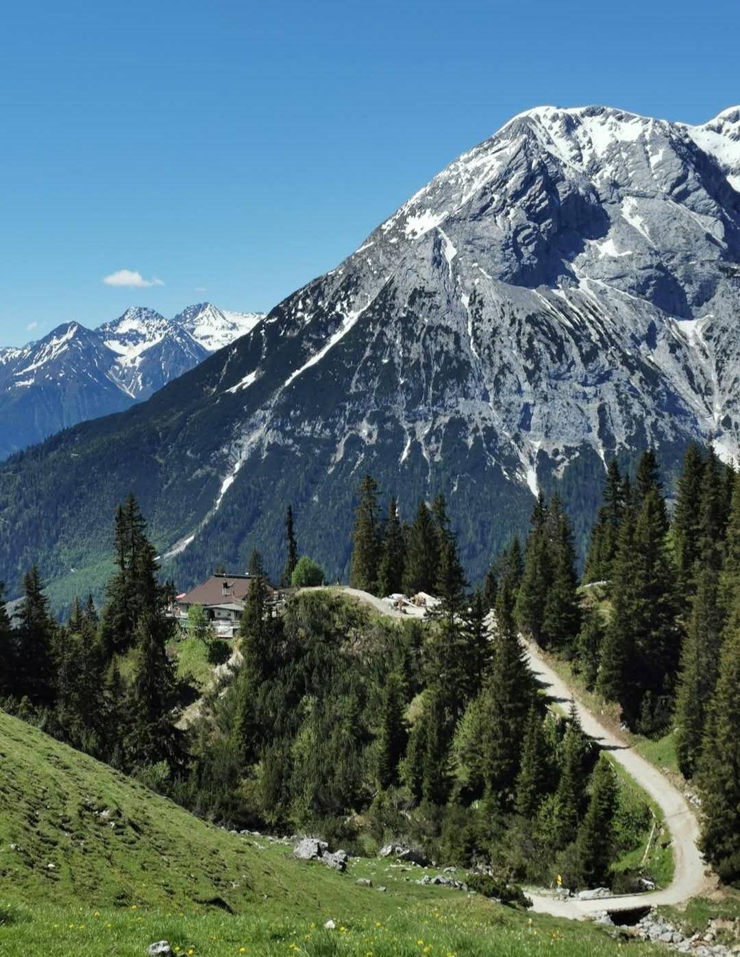 Idyllisches Haus auf einem bewaldeten Hügel mit Serpentinenweg und majestätischen Bergen im Hintergrund.
