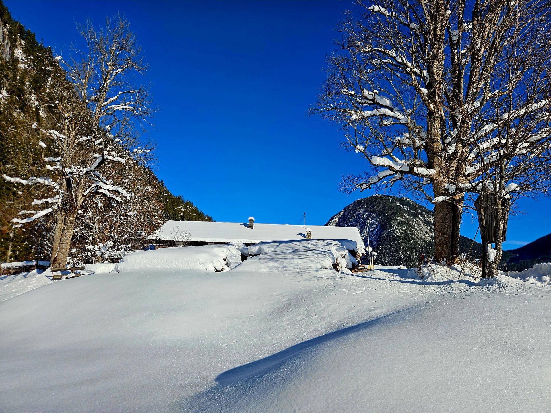 Verschneites Haus zwischen kahlen Bäumen in einer ruhigen Winterlandschaft mit Bergen.