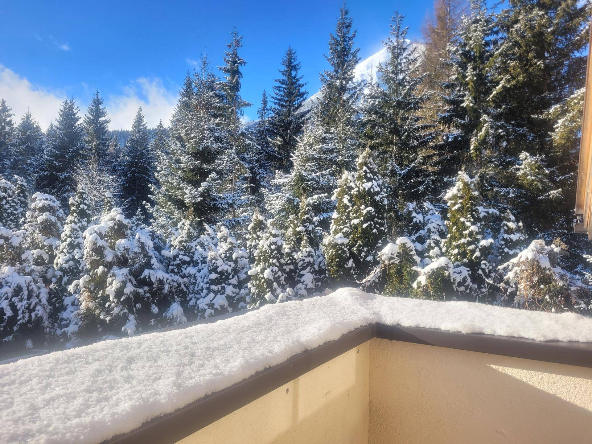 Verschneiter Balkon mit Blick auf dichte, schneebedeckte Tannenwälder unter blauem Himmel.
