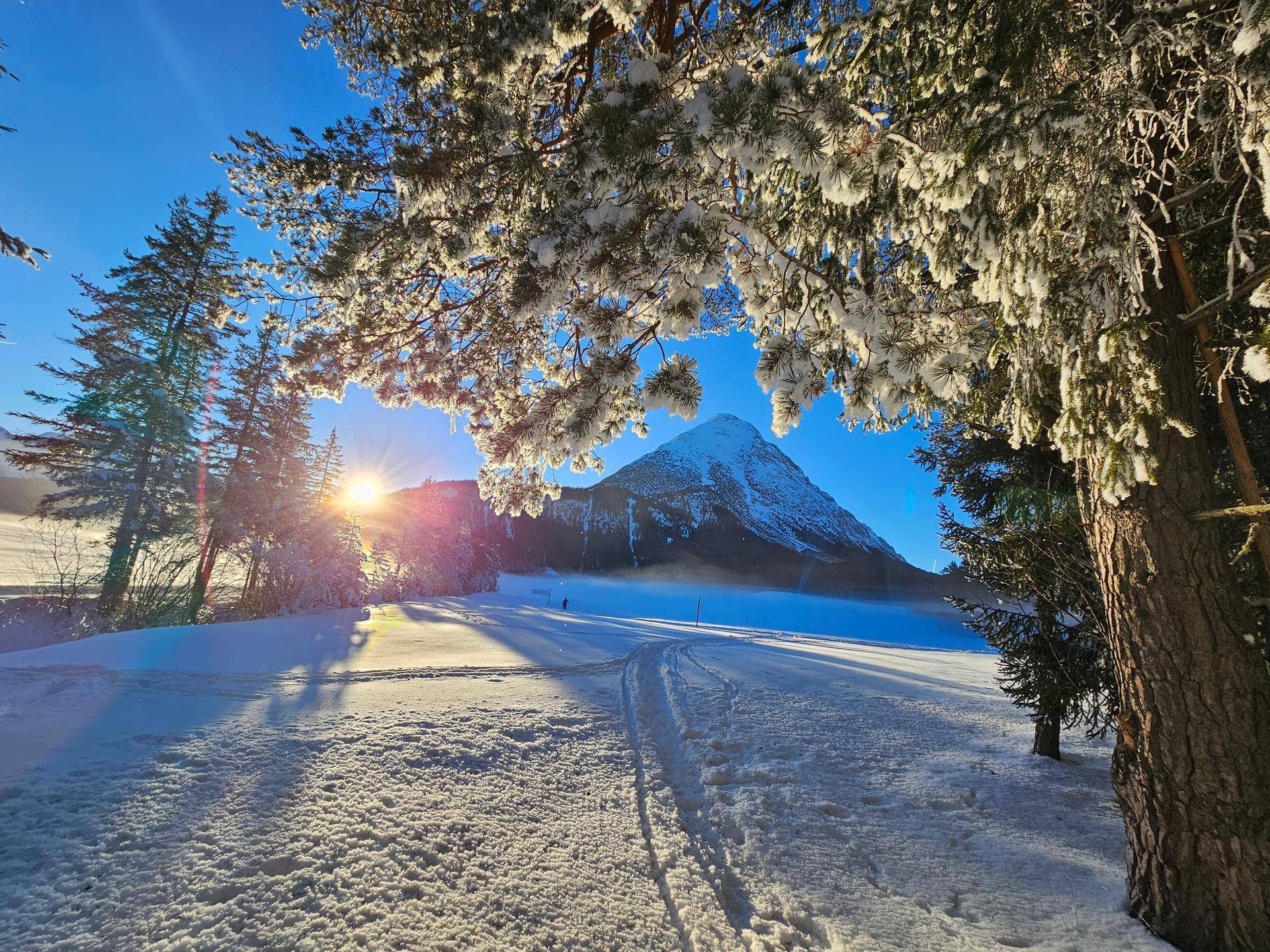 Sonniger Wintertag in einer verschneiten Landschaft mit Bäumen und einem imposanten Berg im Hintergrund.