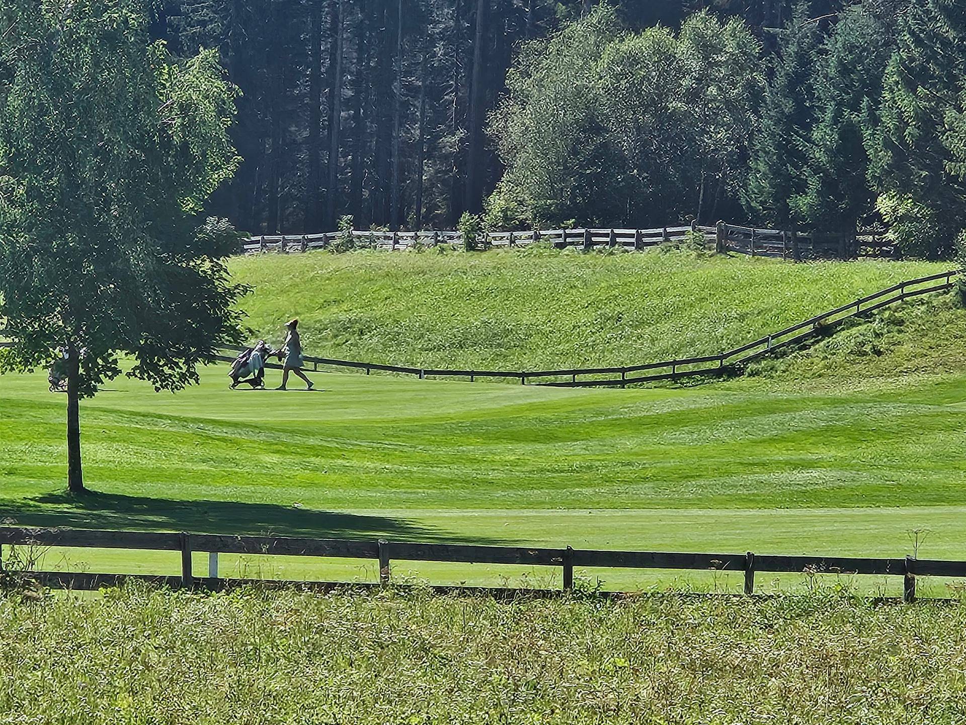 Grüner Golfplatz mit einer Person und einem Golfwagen, umgeben von sanften Hügeln und Bäumen.