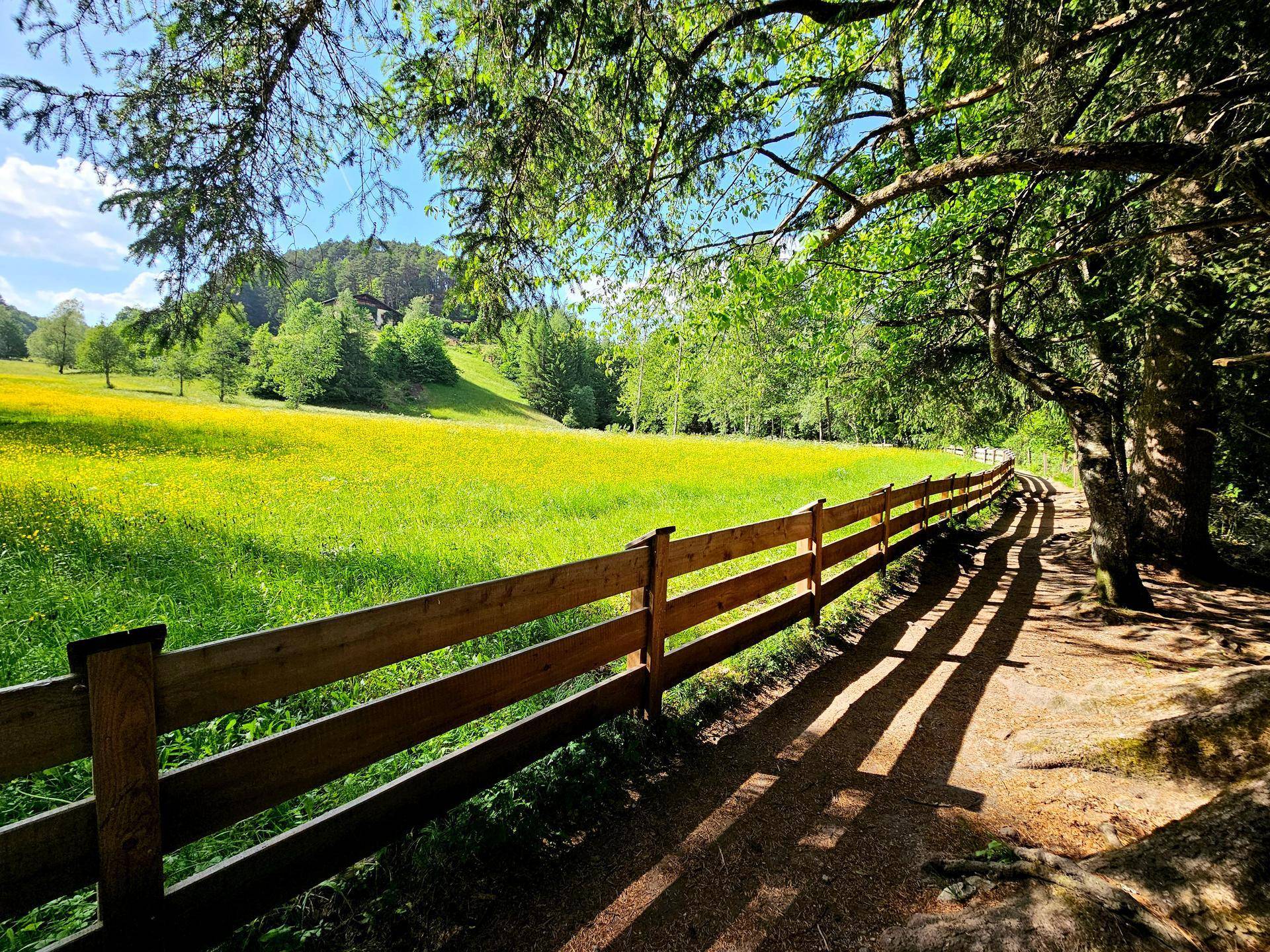 Ein Weg entlang eines Holzzauns durch eine sonnige grüne Wiese mit Bäumen und Hügeln.