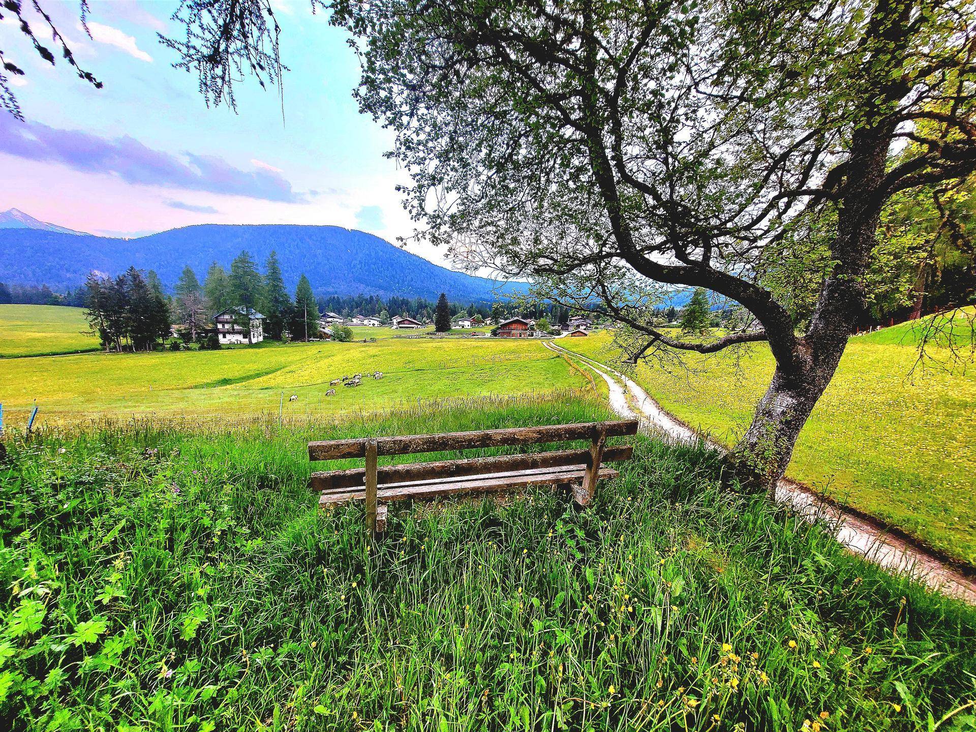 Eine Holzbank in einer grünen Wiese unter einem Baum mit Blick auf eine ländliche Landschaft und Berge.