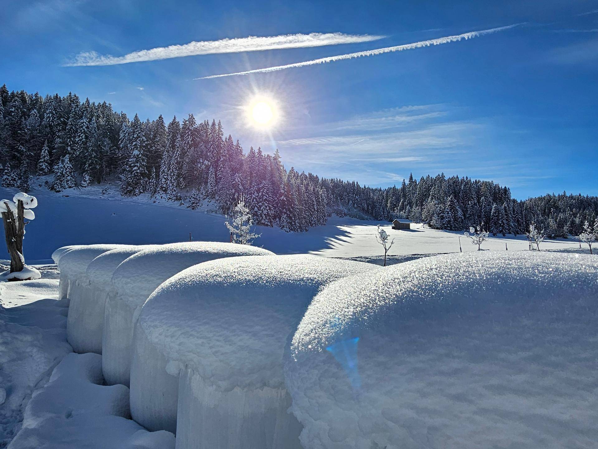 Eine idyllische Winterlandschaft mit schneebedeckten Heuballen und einem dichten Wald im Hintergrund.
