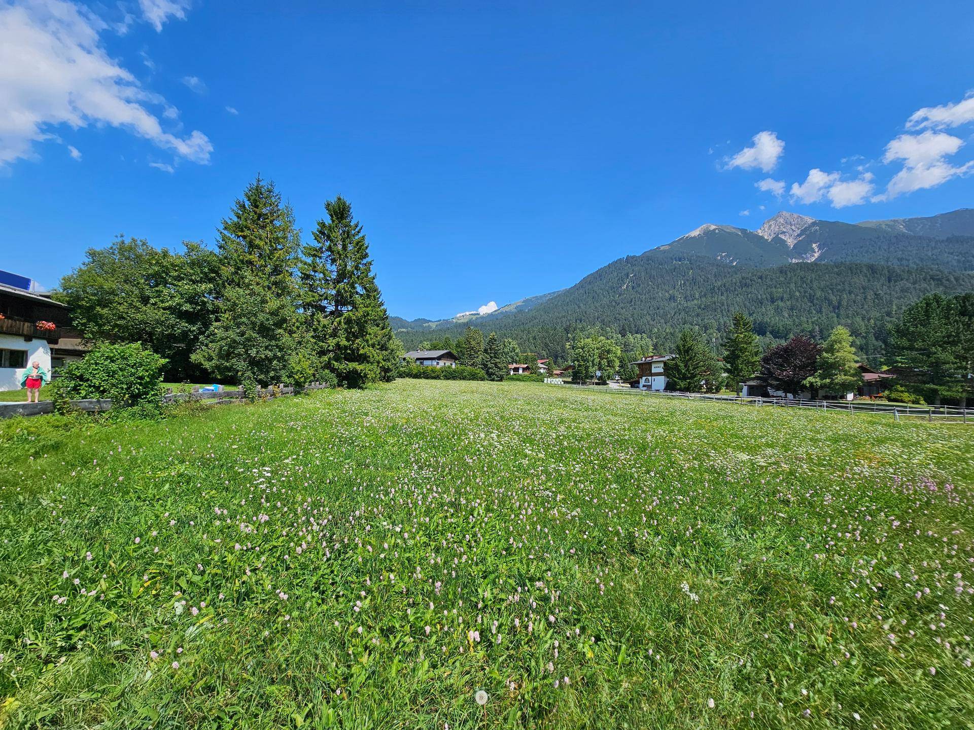 Weite grüne Wiese mit blühenden Blumen und bewaldeten Bergen im Hintergrund an einem sonnigen Tag.