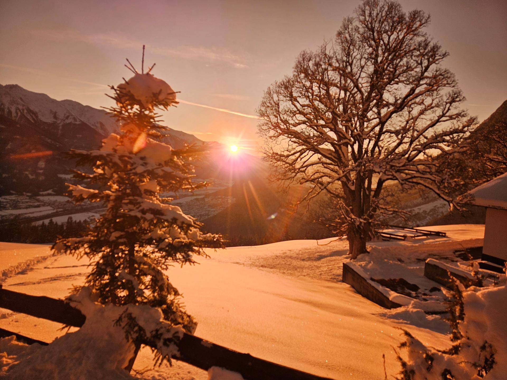 Winterliche Berglandschaft bei Sonnenuntergang mit verschneiten Bäumen und weitem Blick.