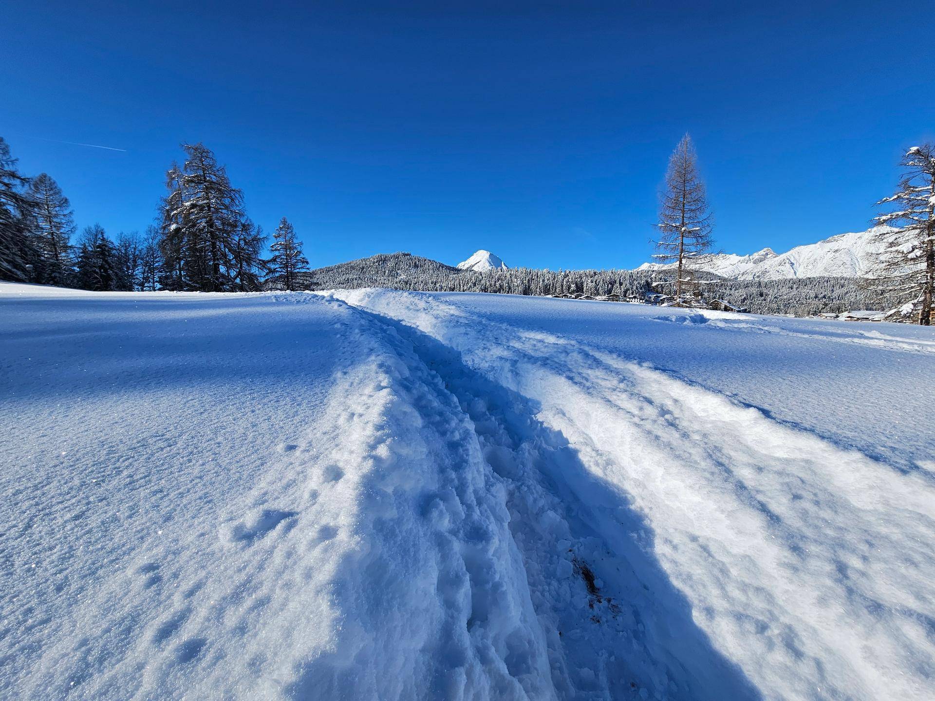 Breiter, verschneiter Weg führt durch eine weite Winterlandschaft mit Bergen am Horizont.