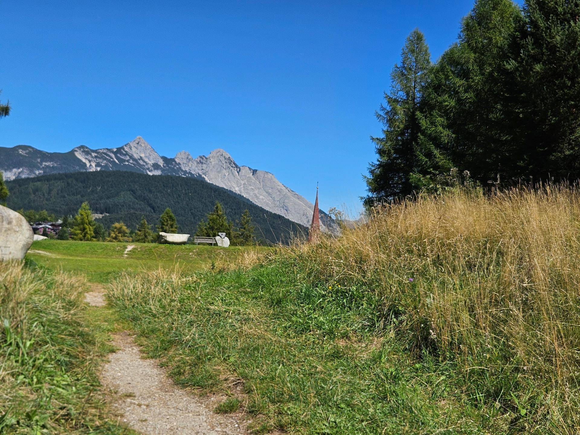 Feldweg durch eine grüne Wiese mit hohen Gräsern und schroffen Bergen im Hintergrund.