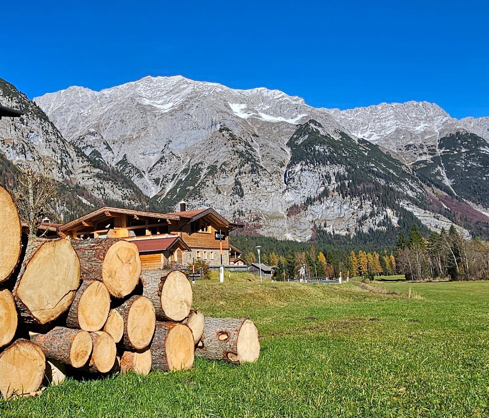 Holzstapel im Vordergrund vor einem traditionellen Haus mit grünen Wiesen und Bergen.