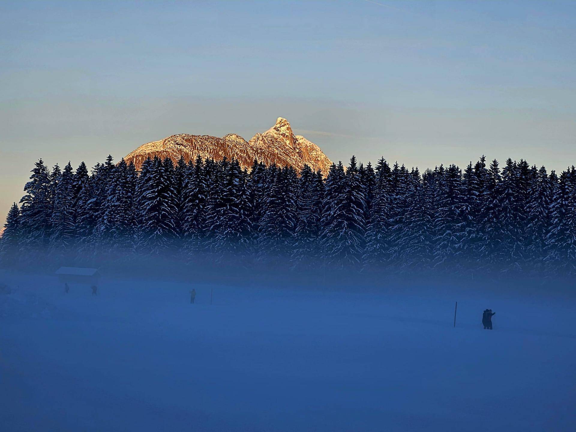 Malerische Winterlandschaft mit verschneitem Wald und einem sonnenbeschienenen Berggipfel in der Ferne.