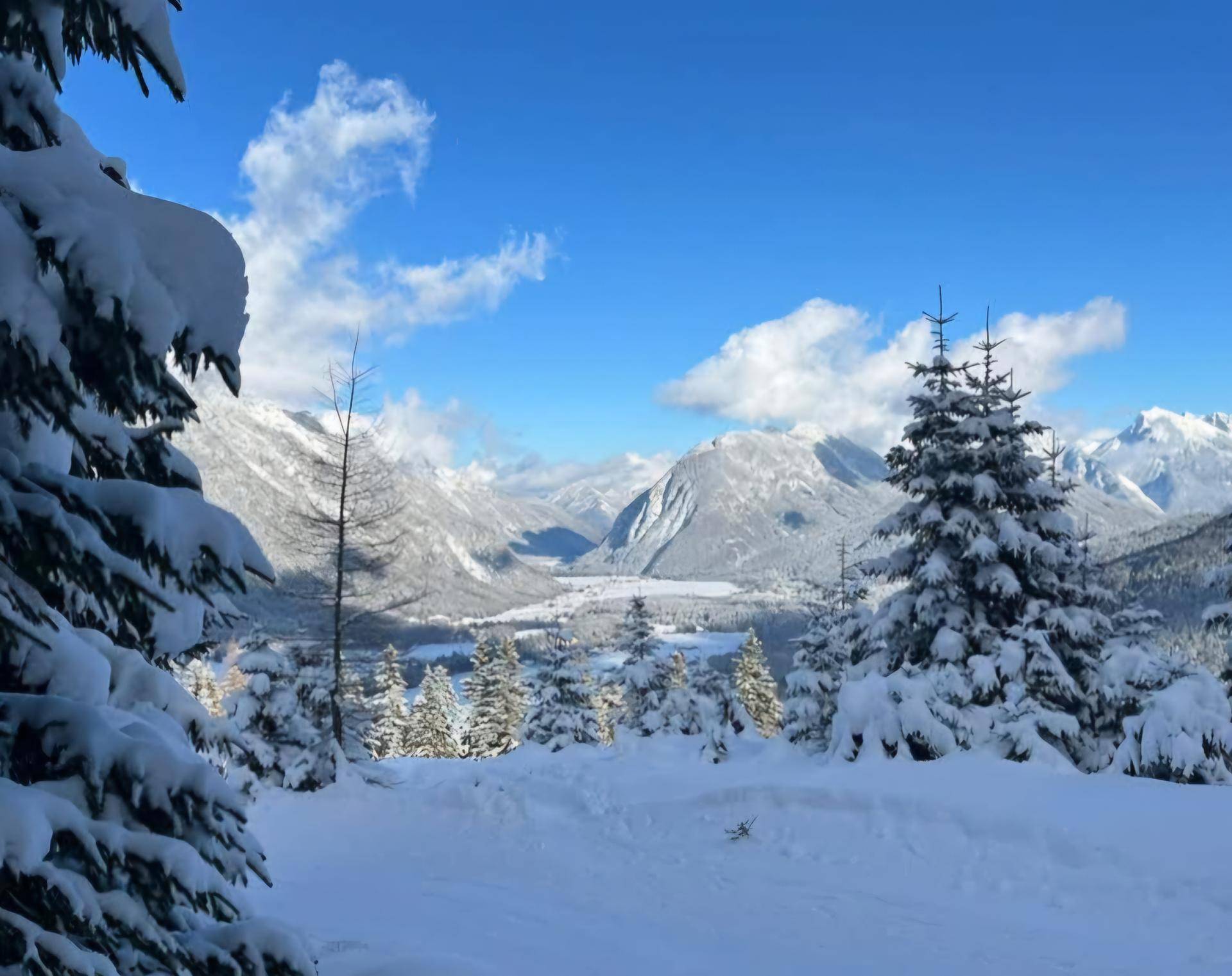 Weitläufiger Panoramablick über ein verschneites Tal mit Nadelbäumen und schneebedeckten Bergen.