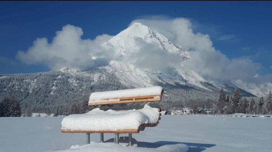 Eine schneebedeckte Holzbank in einer weiten Winterlandschaft mit majestätischem Berg im Hintergrund.
