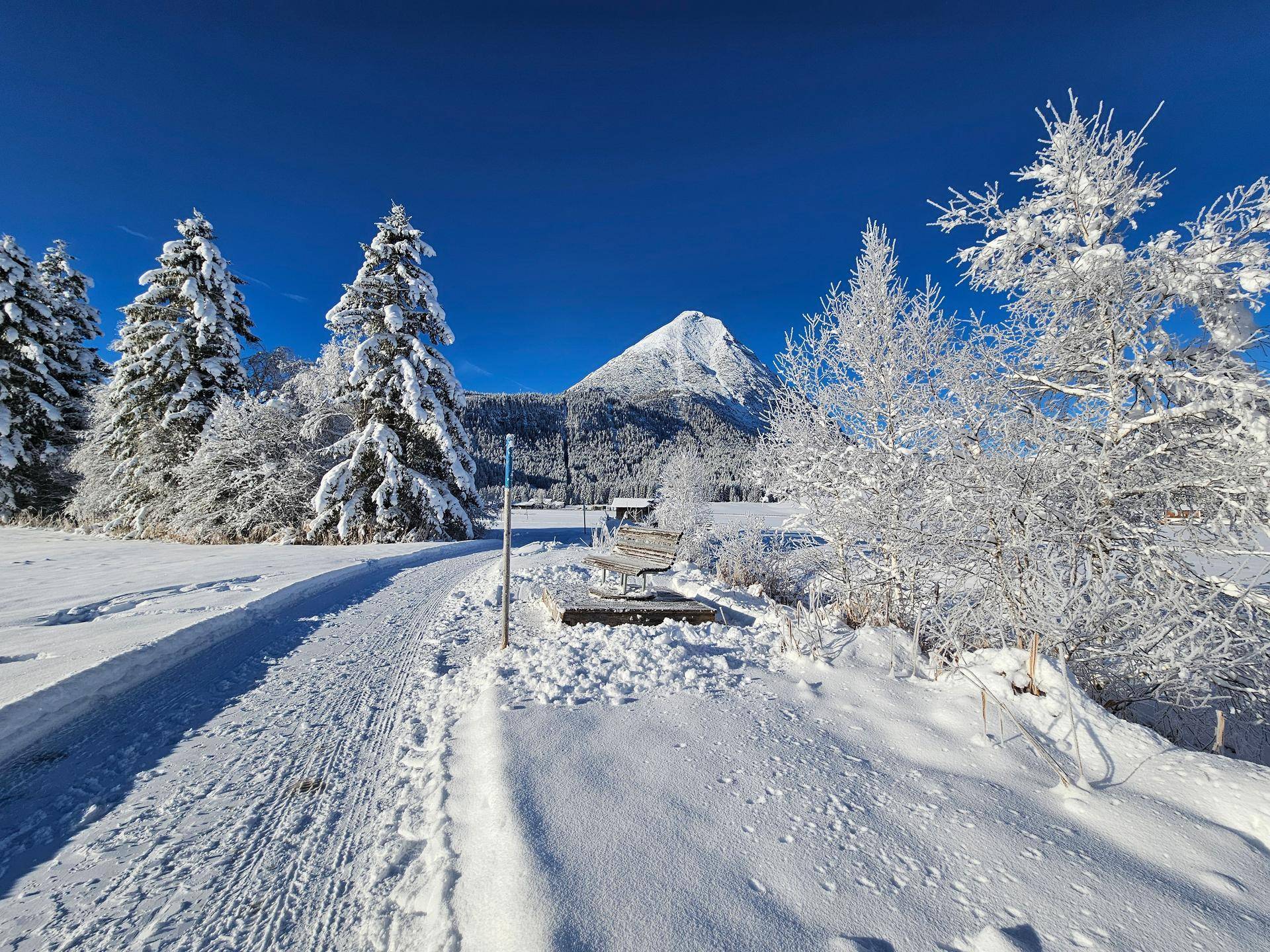 Winterliche Landschaft mit schneebedeckten Bäumen und Bergen unter blauem Himmel.