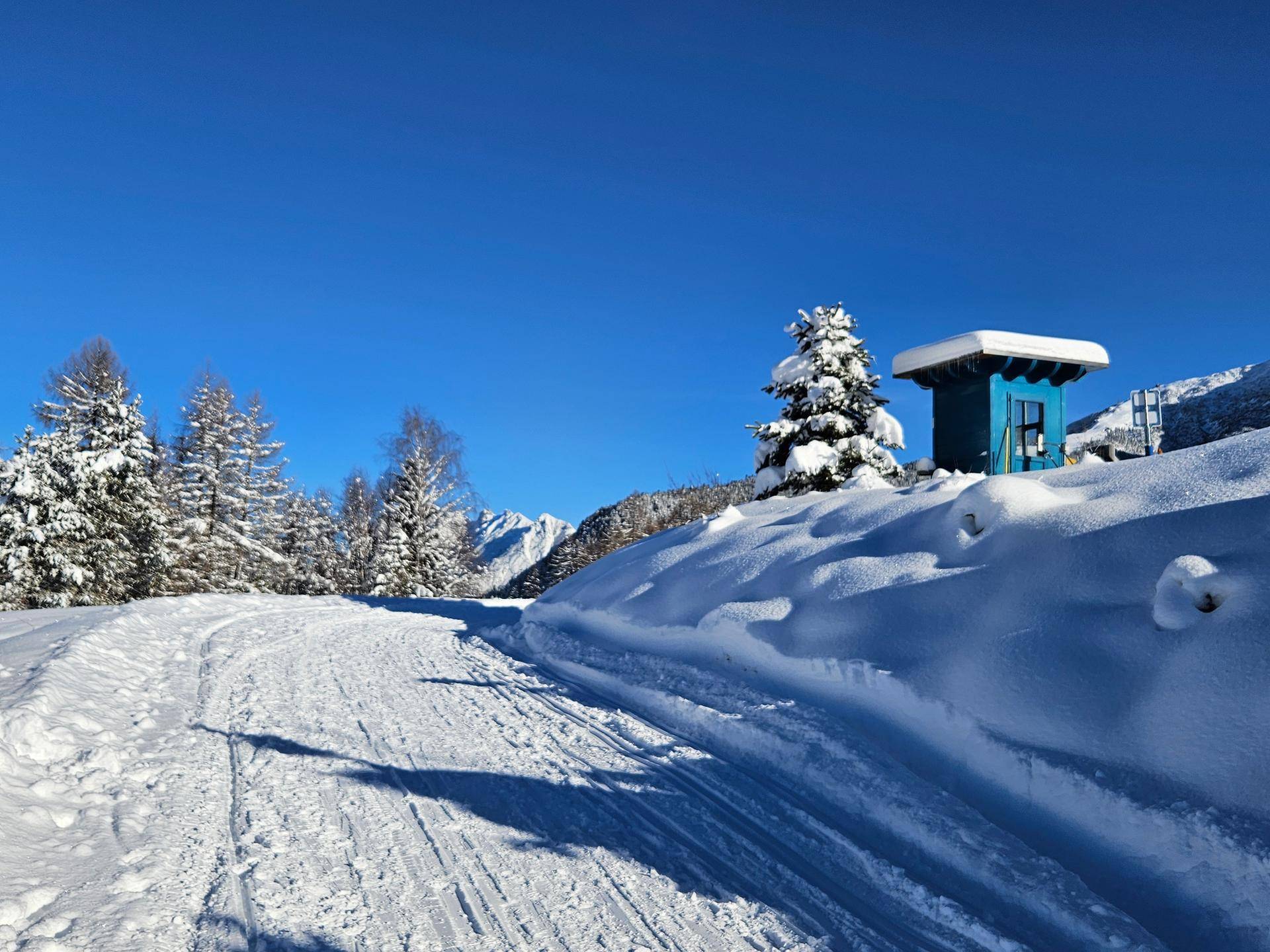 Verschneiter Winterweg durch eine idyllische Landschaft mit Bäumen und Bergen unter klarem Himmel.