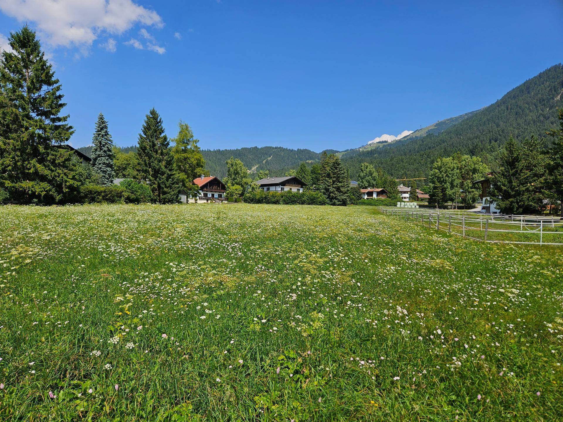 Weitläufige Blumenwiese mit grünen Bäumen, Häusern und Bergen am Horizont unter blauem Himmel.