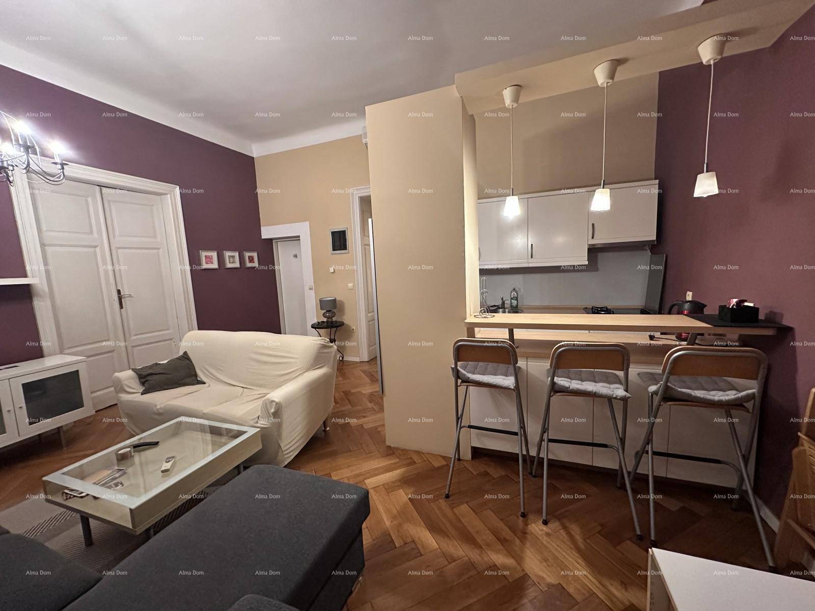 Gemütlicher Wohnbereich mit Sofa, Esstisch und einer halb-offenen Küche mit Frühstücksbar.