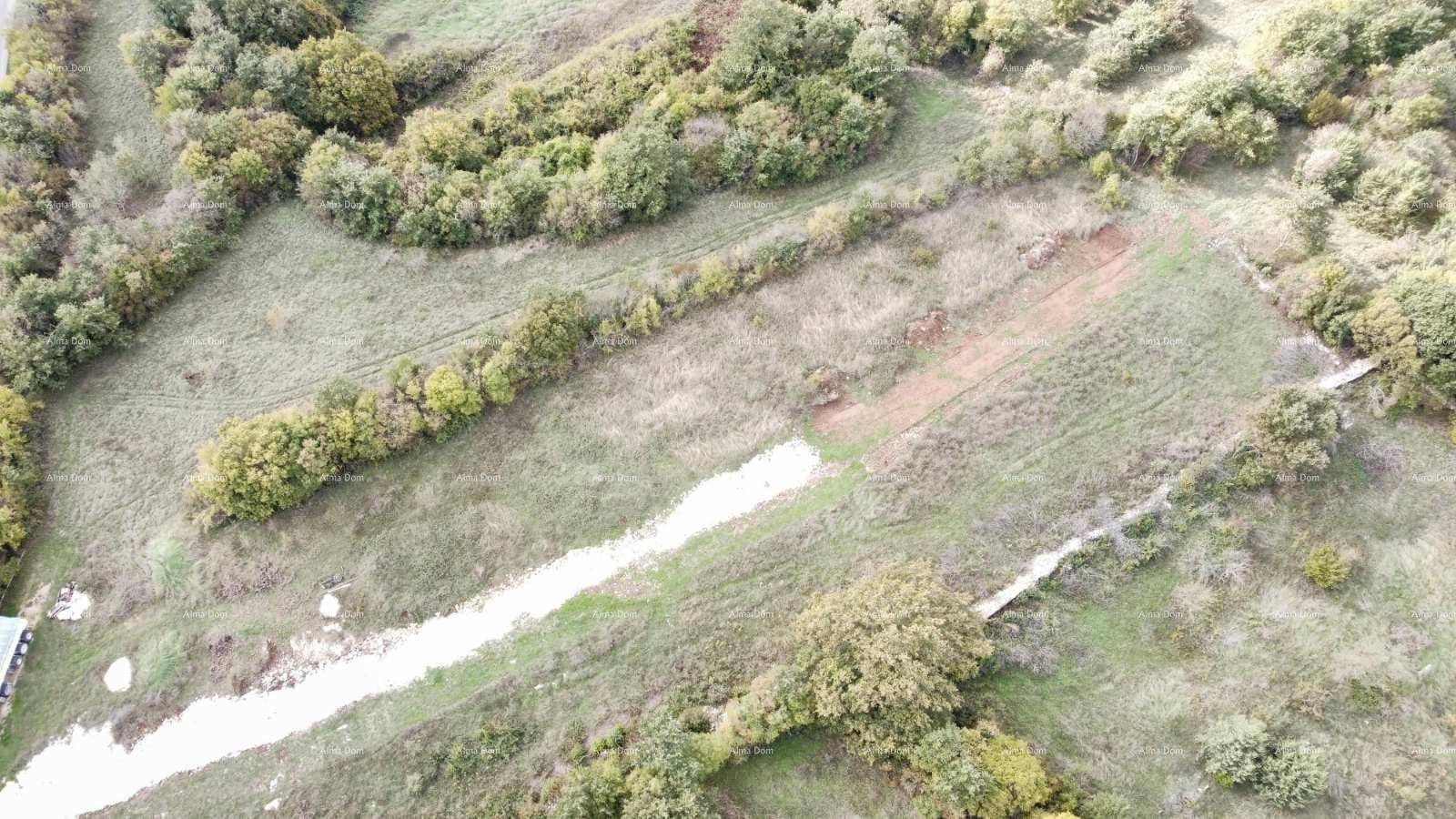 Übersicht aus der Vogelperspektive eines ländlichen Grundstücks mit einem unbefestigten Weg und grüner Vegetation.