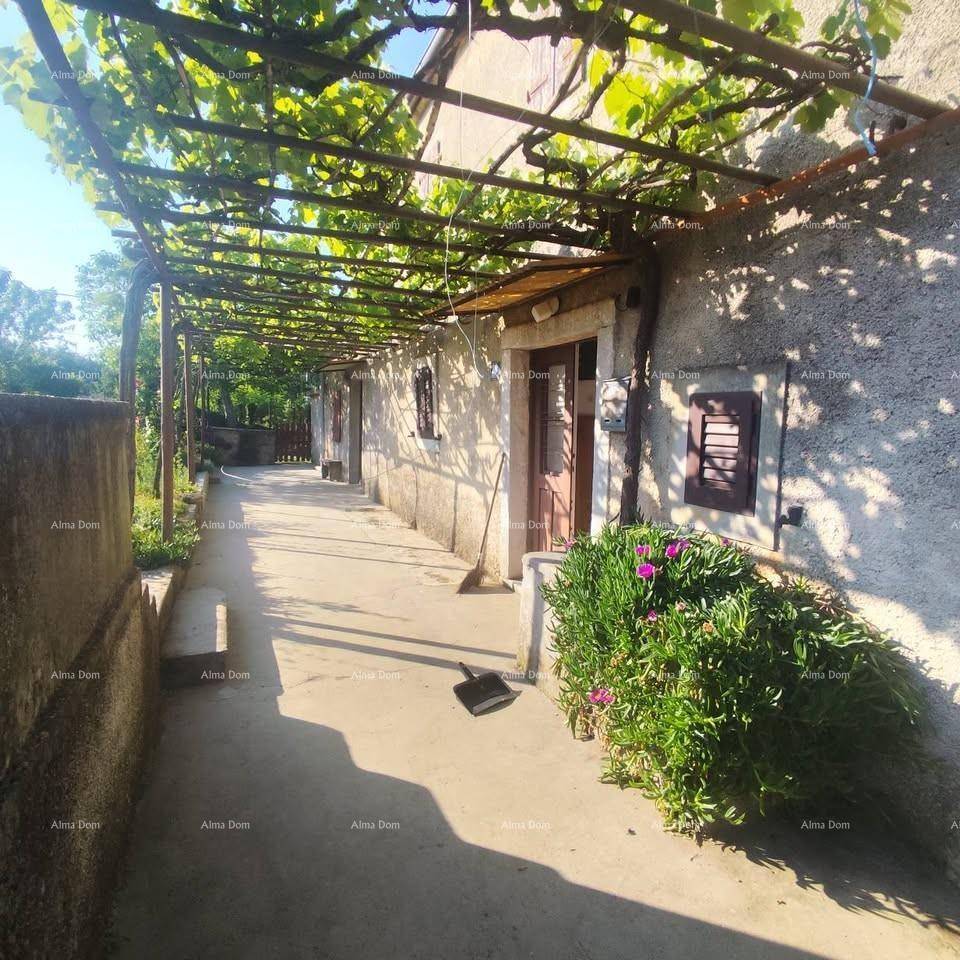 Langer, schattiger Weg entlang des Hauses mit Weinreben-Pergola und einfacher Bepflanzung.