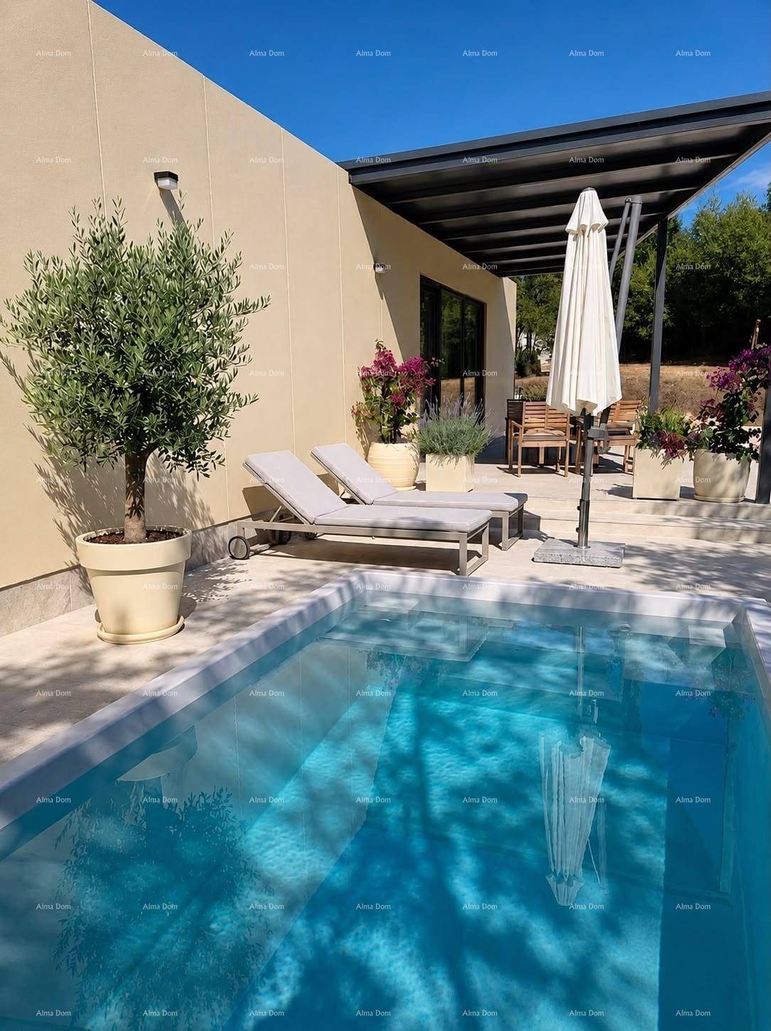 Außenbereich mit erfrischendem Pool, bequemen Sonnenliegen und mediterranen Pflanzen unter blauem Himmel.
