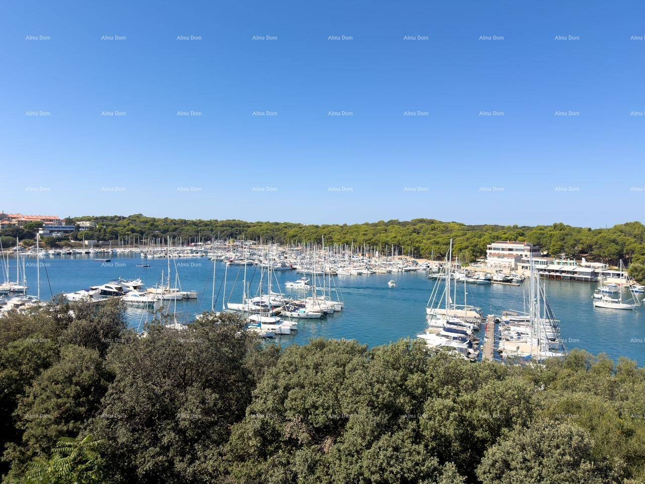 Panoramablick auf einen belebten Yachthafen mit zahlreichen Booten und üppiger grüner Küstenlandschaft.