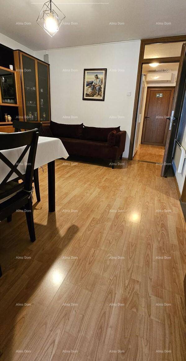 Gemütlicher Wohn- und Essbereich mit Holzboden, dunkler Couch und Vitrinenschrank.
