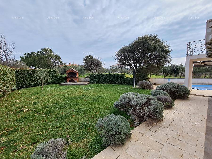 Weitläufiger Garten mit Rasen, gepflasterter Terrasse und einem Pool im Hintergrund.