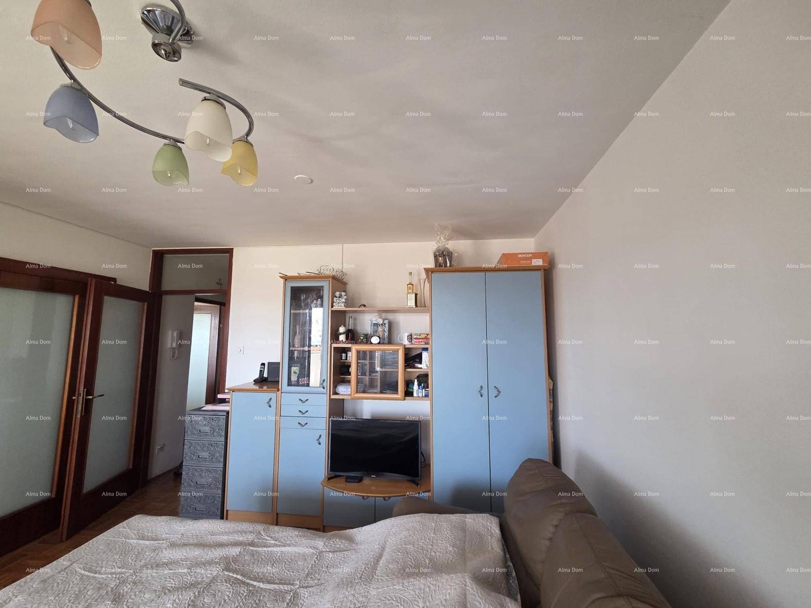 Wohnbereich mit Parkettboden, blauen Schränken und einem Sofa, das als Schlafplatz dient.