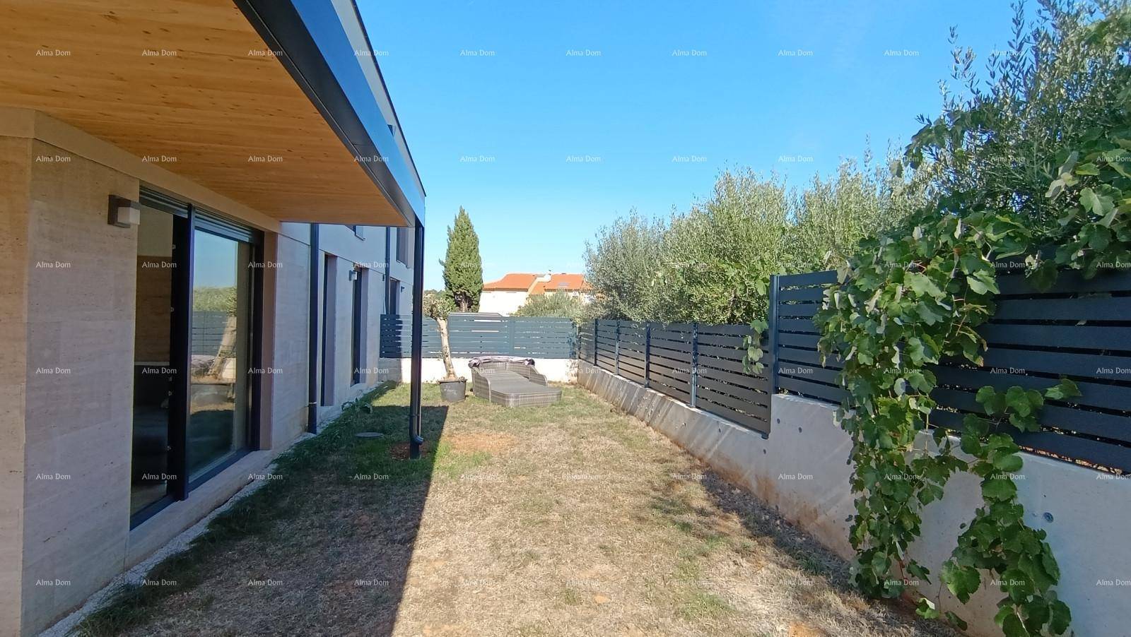 Seitlicher Gartenbereich mit Zaun, mediterraner Vegetation und sonnigem Ambiente.
