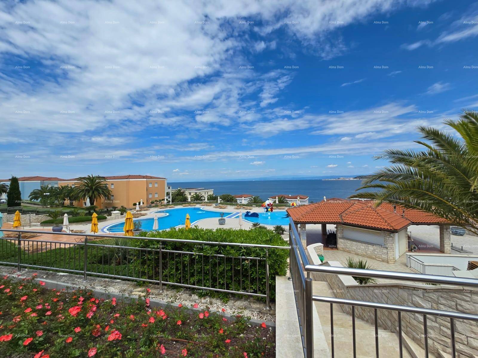 Großer Gemeinschaftspool mit Meerblick, umgeben von Palmen und Liegeflächen unter blauem Himmel.